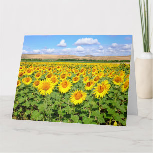 Sonnenblumenfeld Karte