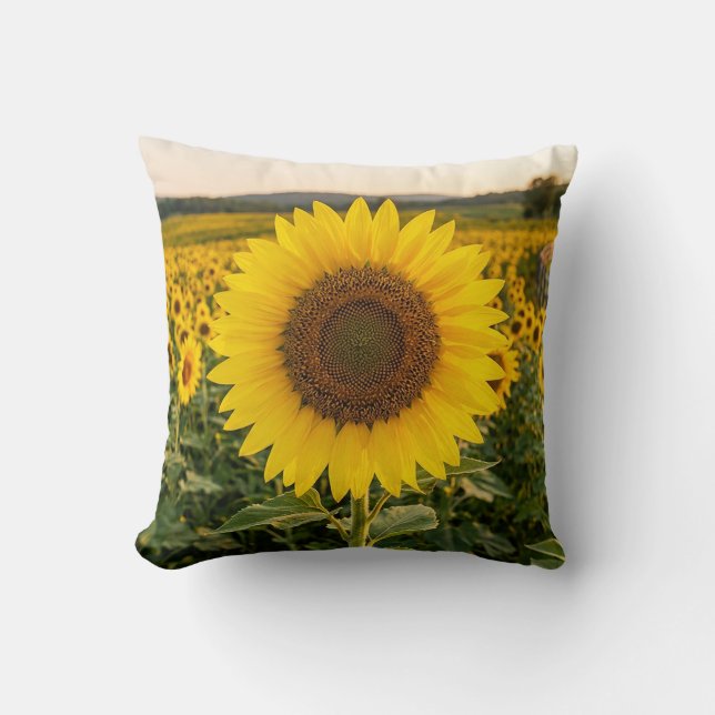 Sonnenblumenfeld Kissen (Vorderseite)