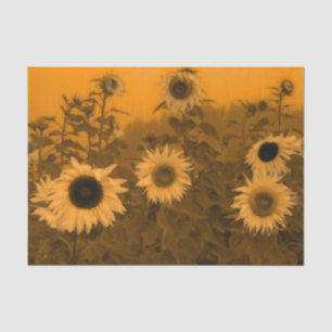 Sonnenblumenfeld Kunst Sonnenuntergang Vintage Gel Seidenpapier