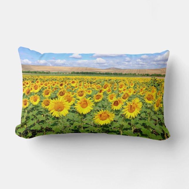 Sonnenblumenfeld Lendenkissen (Vorderseite)
