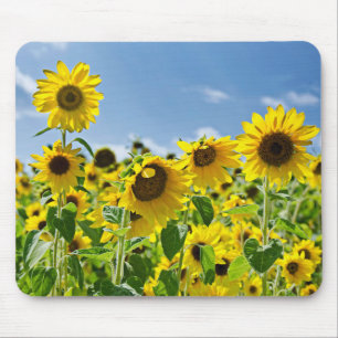 Sonnenblumenfeld Mousepad
