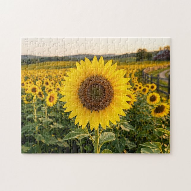 Sonnenblumenfeld Puzzle (Horizontal)