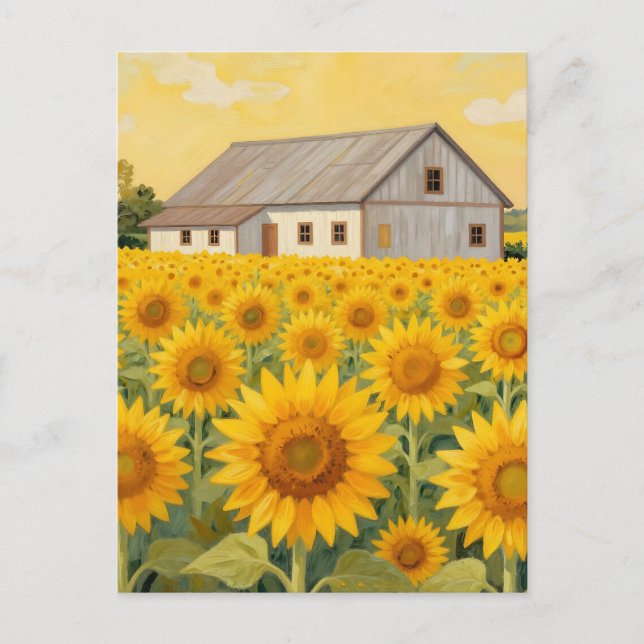 Sonnenblumenfeld Rustikale Scheunenlandschaft Postkarte (Vorderseite)