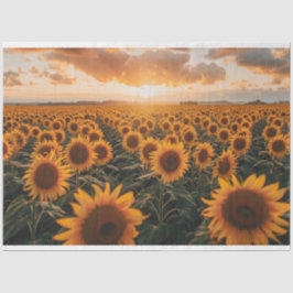 Sonnenblumenfeld Seidenpapier