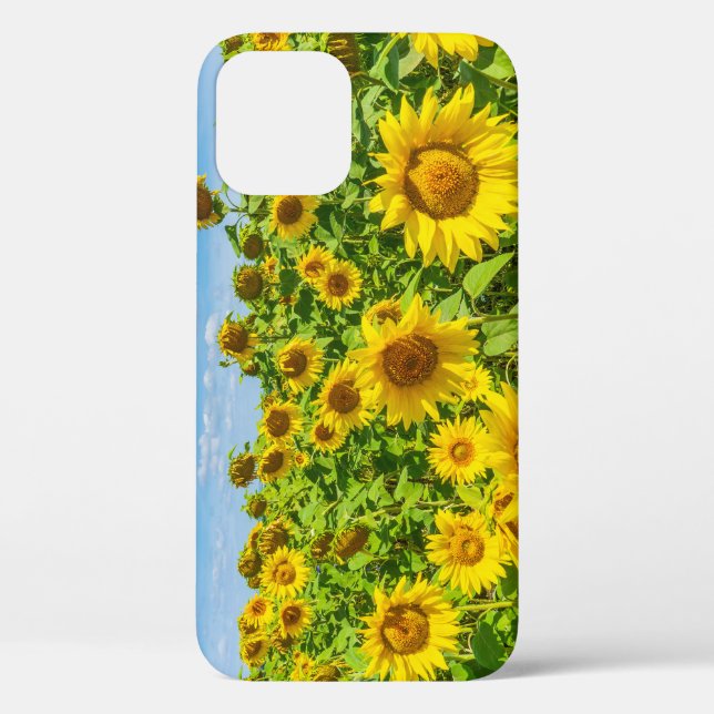 Sonnenblumenfeld, Sommersonntag. Case-Mate iPhone Hülle (Rückseite)
