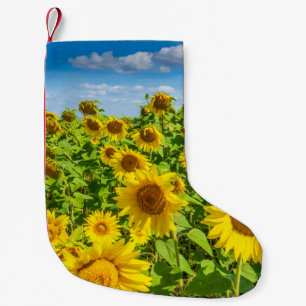 Sonnenblumenfeld, Sommersonntag. Kleiner Weihnachtsstrumpf