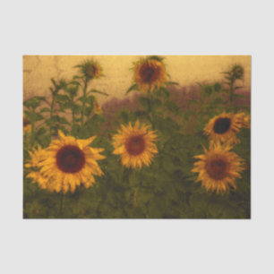 Sonnenblumenfeld Textur Gelb Grün Vintage Kunst Seidenpapier