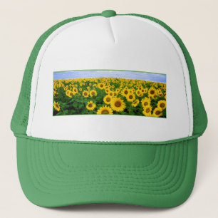 Sonnenblumenfeld Truckerkappe