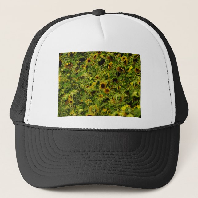 Sonnenblumenfeld Truckerkappe (Vorderseite)