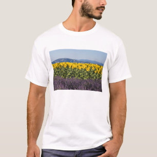 Sonnenblumenfeld und Lavendel-Blume, T-Shirt