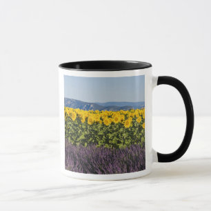 Sonnenblumenfeld und Lavendel-Blume, Tasse