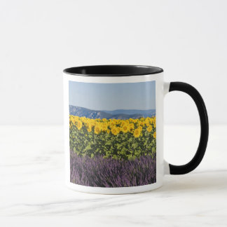 Sonnenblumenfeld und Lavendel-Blume, Tasse