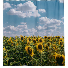 Sonnenblumenfeld unter blauem Himmel mit Wolken Duschvorhang