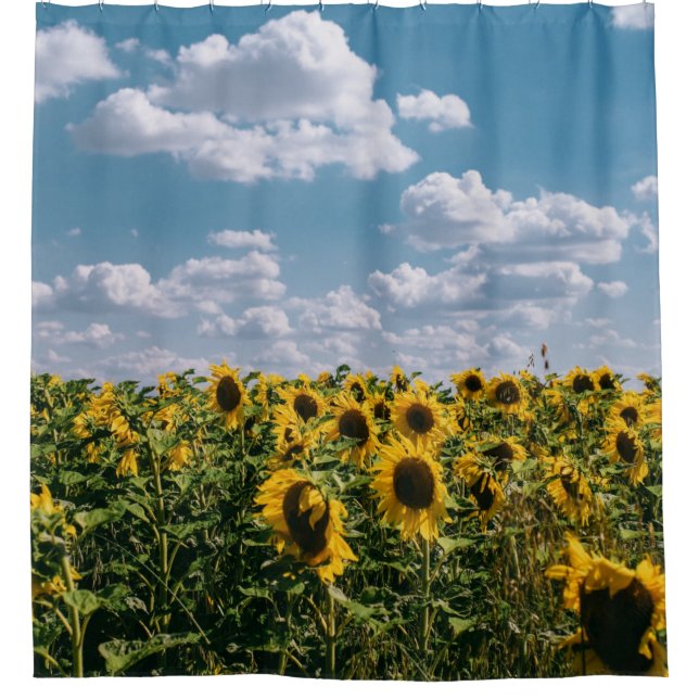 Sonnenblumenfeld unter blauem Himmel mit Wolken Duschvorhang (Vorderseite)