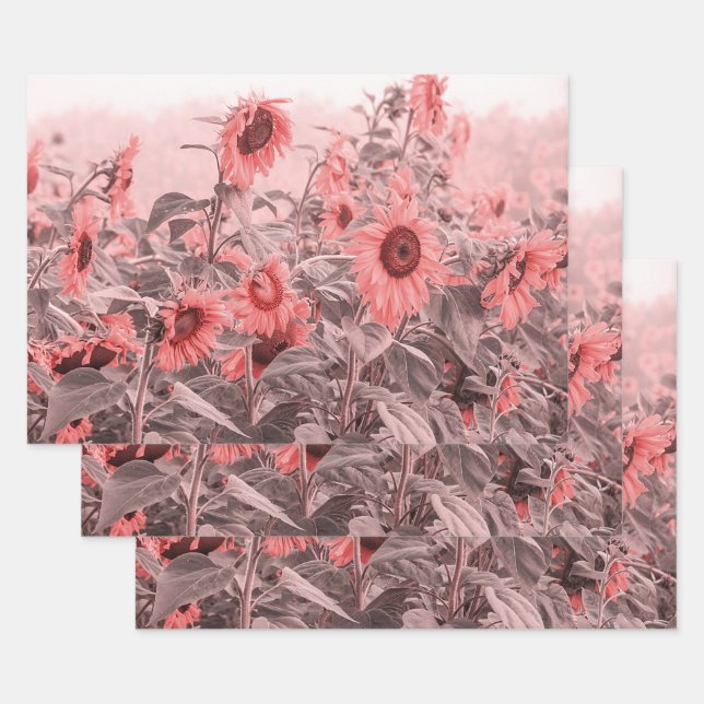 Sonnenblumenfeld Vintag Blush Pink Grau Decoupage Geschenkpapier Set (Set)