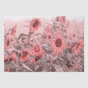 Sonnenblumenfeld Vintag Blush Pink Grau Decoupage Seidenpapier