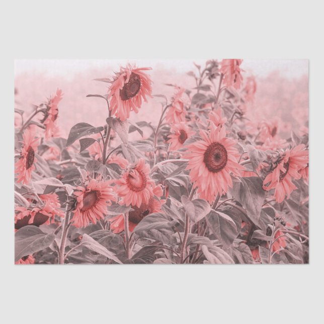 Sonnenblumenfeld Vintag Blush Pink Grau Decoupage Seidenpapier (Vorderseite)