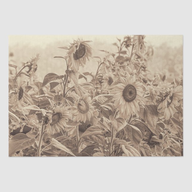 Sonnenblumenfeld Vintag Sepia Tone Decoupage Seidenpapier (Vorderseite)