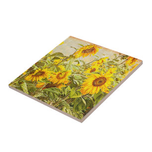 Sonnenblumenfeld Vintage Helles Gelb Landhausstil Fliese