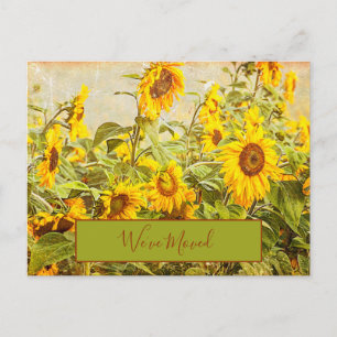 Sonnenblumenfeld Vintage Wir Haben Uns Bewegt Gelb Postkarte