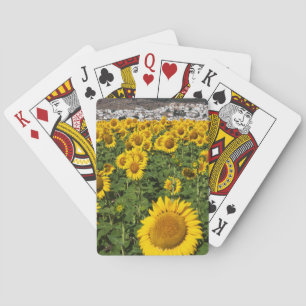 Sonnenblumenfelder, weiße Hügelstadt Bornos Spielkarten