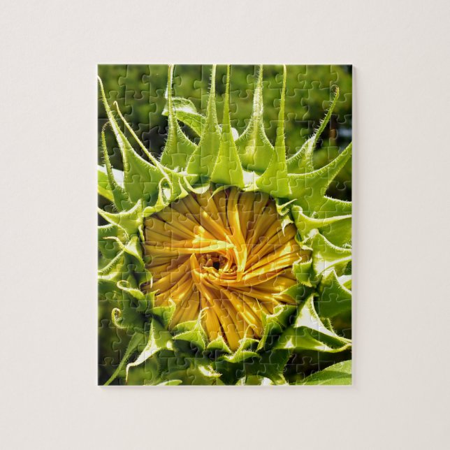 Sonnenblumenfoto Puzzle (Vertikal)