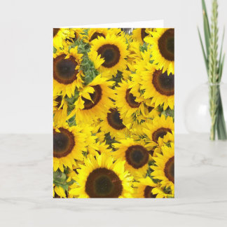 Sonnenblumenfotos Karte