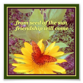 Sonnenblumenfreund Seeds Fotodruck