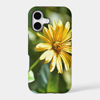 Sonnenblumengehäuse