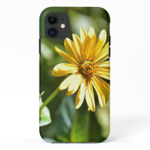 Sonnenblumengehäuse