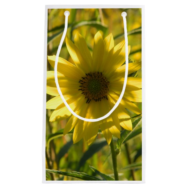 Sonnenblumengeschenk Kleine Geschenktüte (Vorderseite)