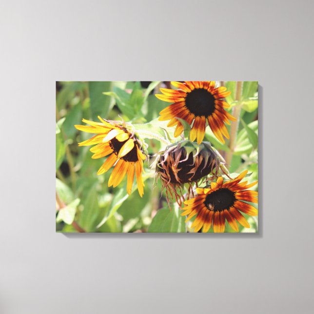 Sonnenblumengesteppte Leinwand (Vorderseite)