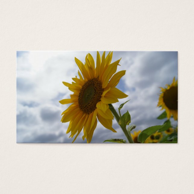 Sonnenblumenglorie - Visitenkarte (Vorderseite)