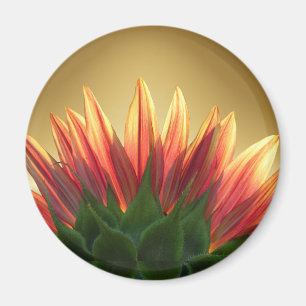 Sonnenblumengold ~ Magnet