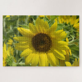 Sonnenblumengold Puzzle