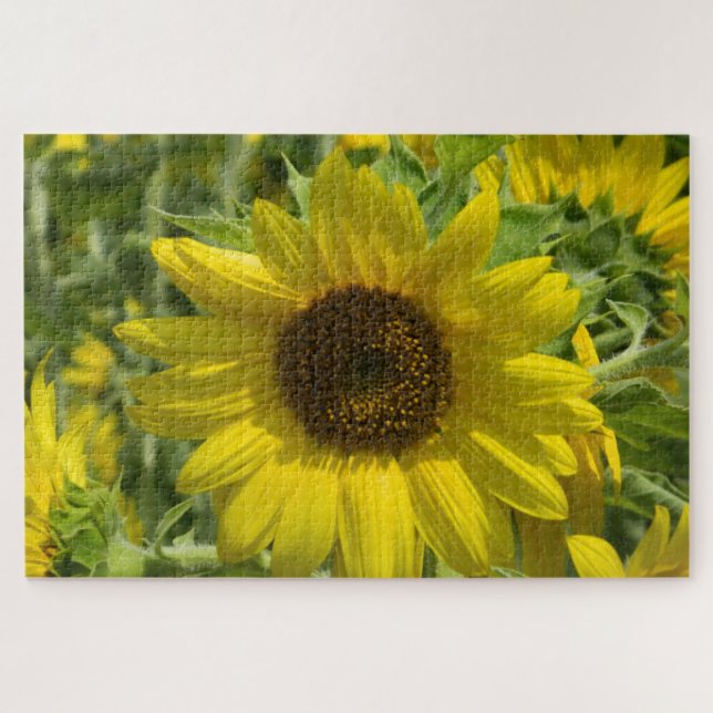 Sonnenblumengold Puzzle (Horizontal)