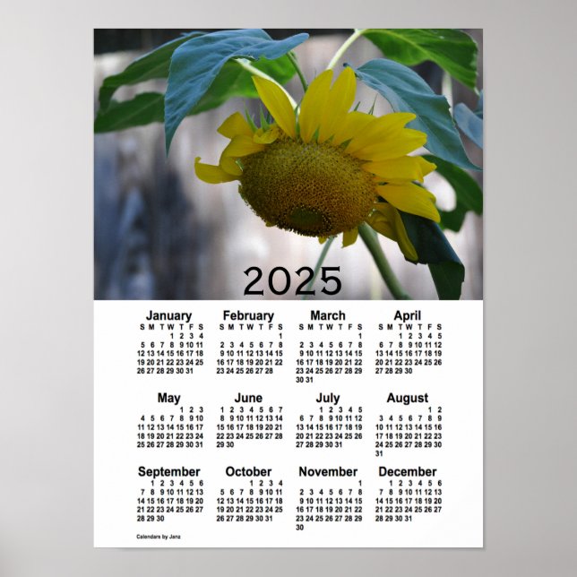 Sonnenblumenkalender 2025 von Janz Poster (Vorne)