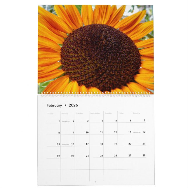 Sonnenblumenkalender - Sonnenblumen des Monats 202 Kalender (Feb 2026)