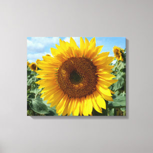 Sonnenblumenkanvas drucken leinwanddruck