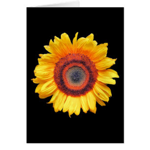 SONNENBLUMENKARTE