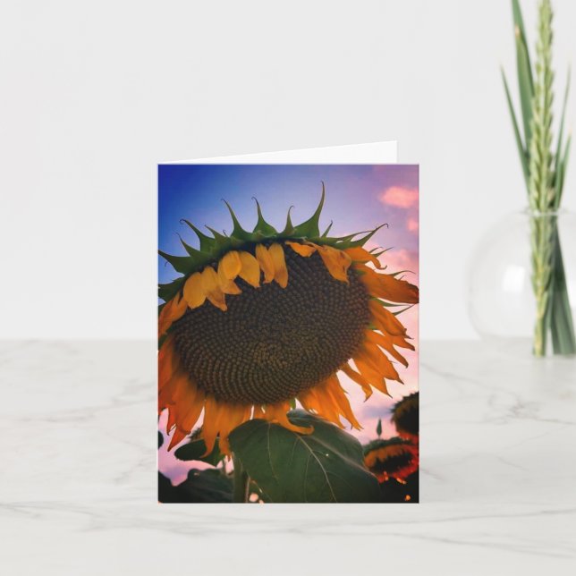 Sonnenblumenkarte (Vorderseite)