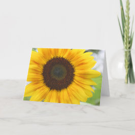 Sonnenblumenkarte Karte