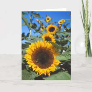 Sonnenblumenkarte Karte