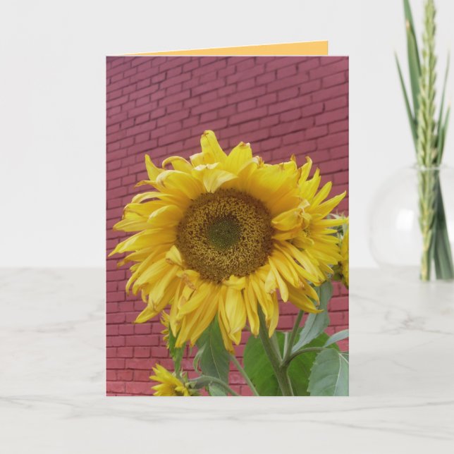 Sonnenblumenkarte Karte (Vorderseite)