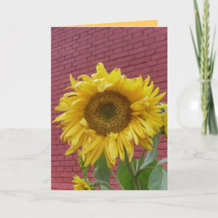 Sonnenblumenkarte Karte