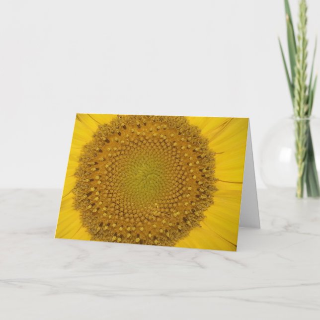 Sonnenblumenkarte Karte (Vorderseite)