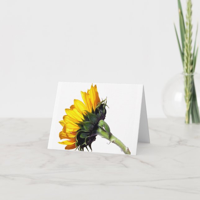 Sonnenblumenkarte Karte (Vorderseite)