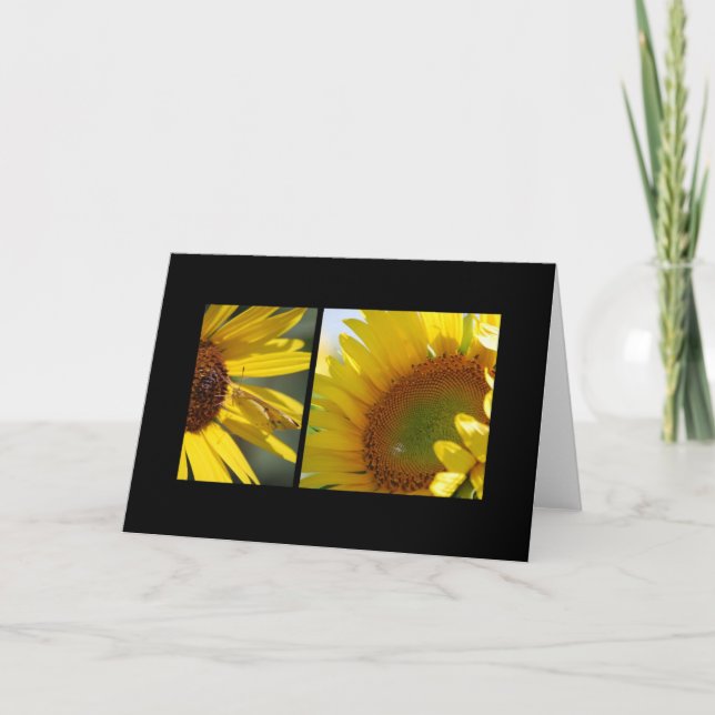 Sonnenblumenkarte Karte (Vorderseite)