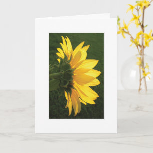Sonnenblumenkarte Karte