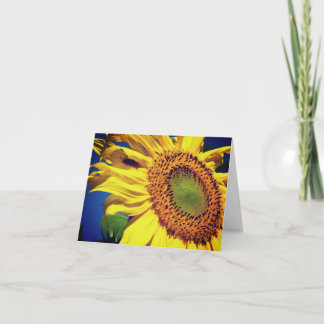 Sonnenblumenkarte und Blankenkarte der Blume Dankeskarte